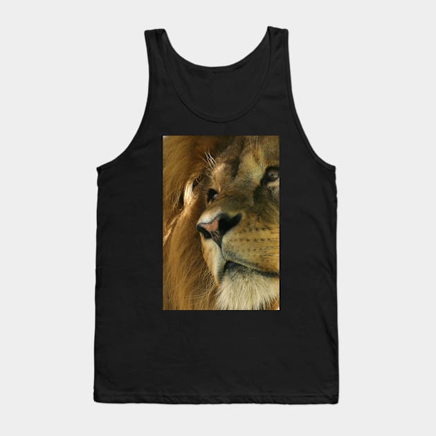 Lion head close-up Tank Top by Melissa Peltenburg Travel Photography